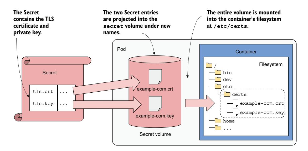 图 9.16 通过 secret 卷将 Secret 的条目投射到容器的文件系统中